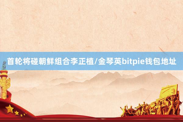 首轮将碰朝鲜组合李正植/金琴英bitpie钱包地址