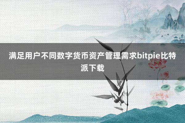 满足用户不同数字货币资产管理需求bitpie比特派下载