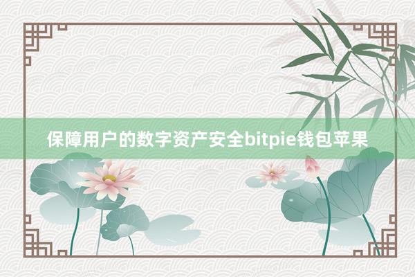 保障用户的数字资产安全bitpie钱包苹果