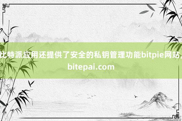 比特派应用还提供了安全的私钥管理功能bitpie网站，bitepai.com