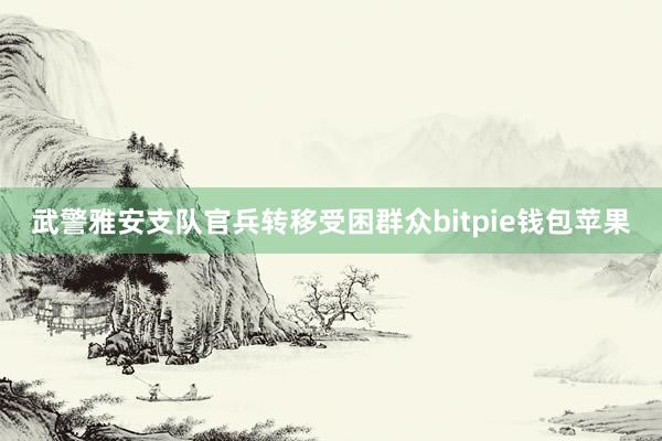 武警雅安支队官兵转移受困群众bitpie钱包苹果