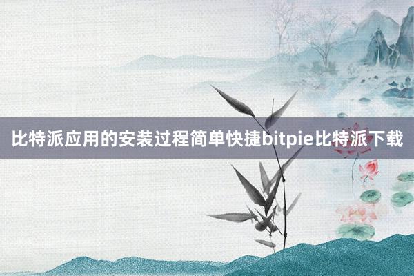 比特派应用的安装过程简单快捷bitpie比特派下载