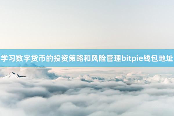 学习数字货币的投资策略和风险管理bitpie钱包地址