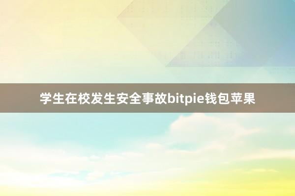 学生在校发生安全事故bitpie钱包苹果