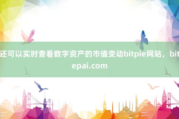 还可以实时查看数字资产的市值变动bitpie网站，bitepai.com