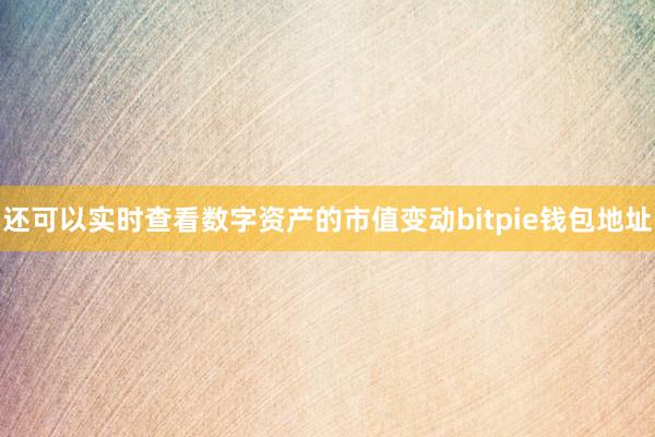 还可以实时查看数字资产的市值变动bitpie钱包地址