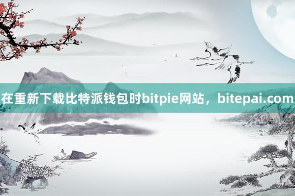 在重新下载比特派钱包时bitpie网站，bitepai.com