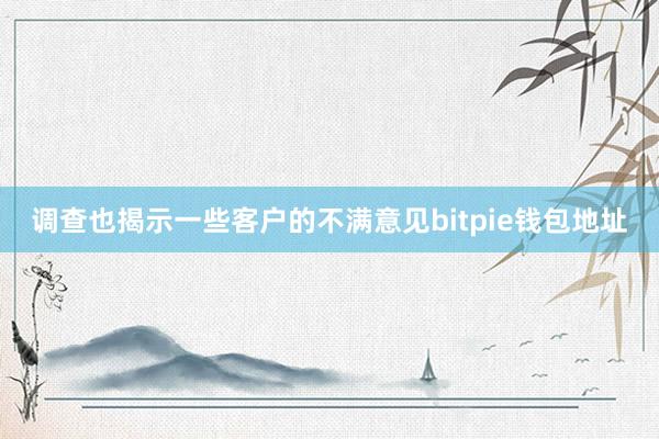 调查也揭示一些客户的不满意见bitpie钱包地址