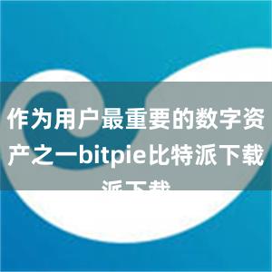 作为用户最重要的数字资产之一bitpie比特派下载