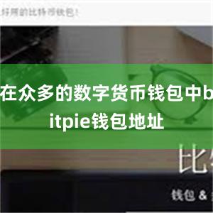 在众多的数字货币钱包中bitpie钱包地址