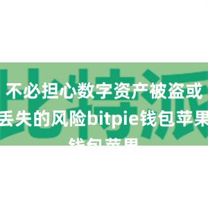 不必担心数字资产被盗或丢失的风险bitpie钱包苹果