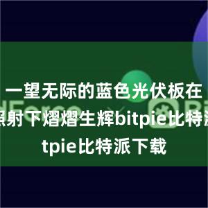 一望无际的蓝色光伏板在阳光照射下熠熠生辉bitpie比特派下载