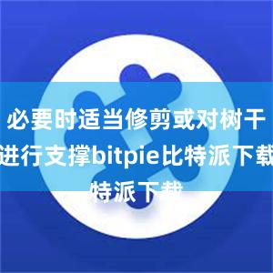 必要时适当修剪或对树干进行支撑bitpie比特派下载