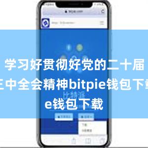 学习好贯彻好党的二十届三中全会精神bitpie钱包下载